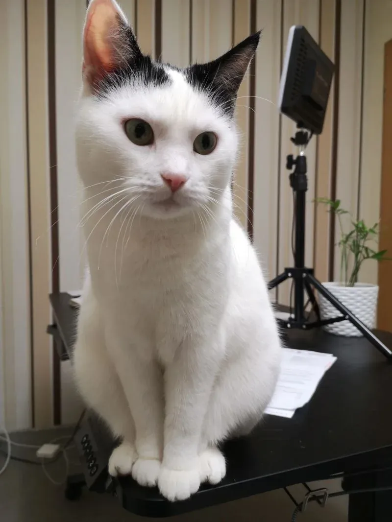 Datenschutz bei Jörg Zimmer SEO - Ihre Daten sind sicher