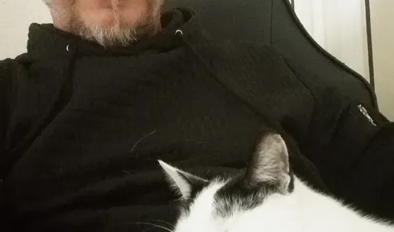 SE Ranking AI Tracker - Vergleich der Rankings in KI-Suchmaschinen