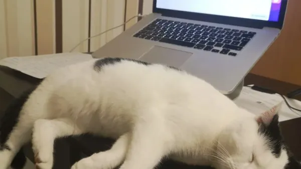 SEO-Sprechstunde mit Jörg Zimmer - Die Grill-Analyse